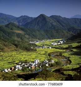 Rapeseed Field In Jiang Xi, China