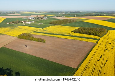 champs de colza vus du ciel dans le département d'Eure-et-Loir, Centre-Val de Loire, France.