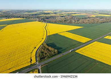 champs de colza vus du ciel dans les champs de Beauce avec la route nationale, ville de Gué-de-Longroi, département d'Eure-et-Loir au Centre-Val de Loire, France.