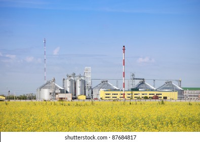 Rapeseed Oil Factory Producing Biodiesel.