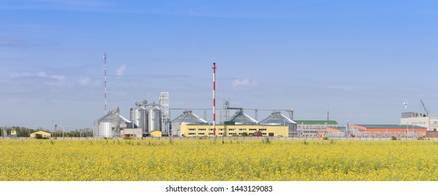 Rapeseed Oil Factory In A Yellow Canola Field.