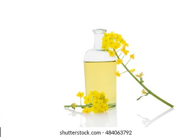 Rapeseed Oil In Glass Bottle And Flower Isolated On White Background.