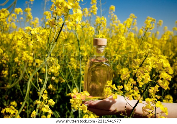 Rapeseed oil in a transparent glass\
bottle in hand on a background of rapeseed\
field.