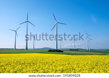 Rapeseed and windwheels