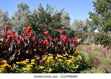 Garden Reptile Images Stock Photos Vectors Shutterstock