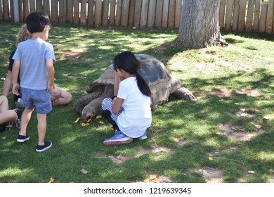 1000 Children In Galapagos Stock Images Photos Vectors