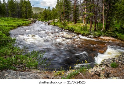 The rapid flow of the forest river. Forest river landscape. River in forest. Forest river rapids - Shutterstock ID 2173724525
