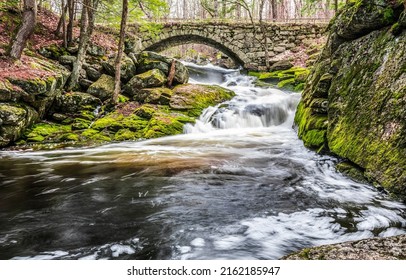The rapid flow of the river in the forest. River stream in forest. Fast river stream flowing. River in forest