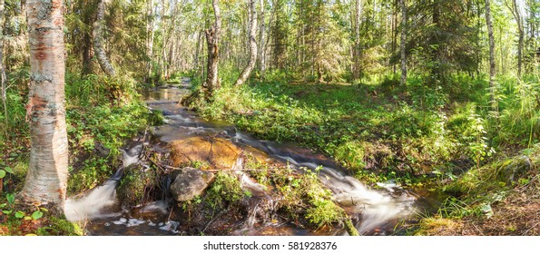 The rapid flow of river water in the forest on the Big Solovetsky Island