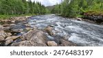 Rapid flowing mountain river through forest in summer