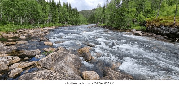 Rapid flowing mountain river through forest in summer - Powered by Shutterstock