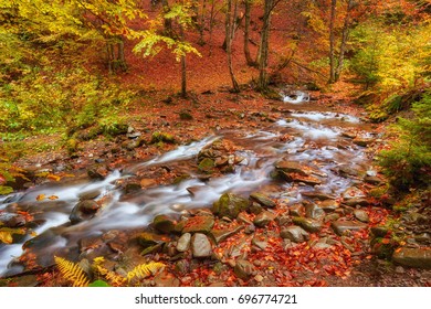 rapid mountain river in autumn. Colorfull wood background - Shutterstock ID 696774721