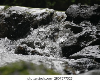Rapid mountain river creating a dramatic natural waterscape.