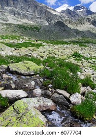 Rapid stream in mountains