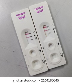 Rapid test cassette or device for Leptospira IgG,IgM test to identify Leptospirosis, show Leptospira IgG positive result, Bacterial infection.