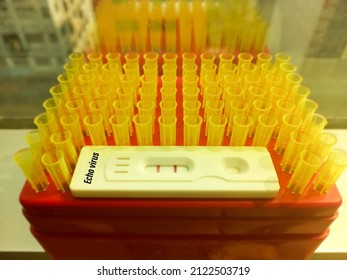Rapid test cassette(device) for Echo virus test, show positive result, polyphyletic group of viruses, single-stranded RNA enterovirus, belonging to the Picornaviridae family.