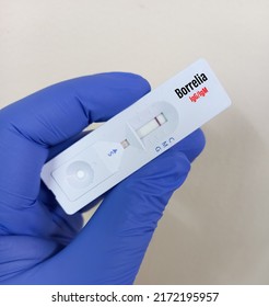 Rapid test kit or cassette for Borrelia IgG and IgM test, Lyme disease diagnosis.