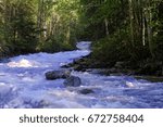 Rapids