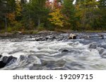 Rapids in the forest early fall