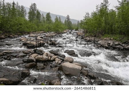 Rapids on a mountain stream. Cloudy landscape, Grayling creek on the Putorana plateau.