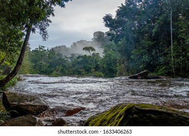 La Guyane Francaise Images Stock Photos Vectors Shutterstock