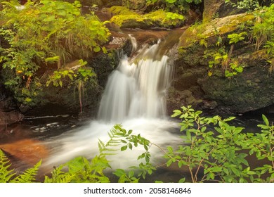 Rapids On The Wild River In The Forest - Water Flowing Over Moss Covered Rocks