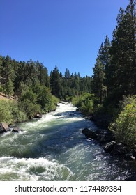 Rapids and Trees Perspective