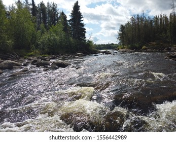Rapids with trees and rocks around it