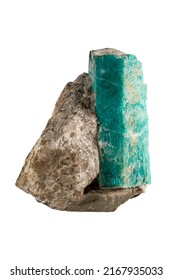 A Rare Gem Nugget. Beryl (emerald) Is A Prismatic Crystal In Phlogopite Mica. Expensive Green Crystal.