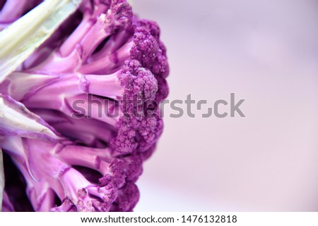 Rare and unique purple cauliflower