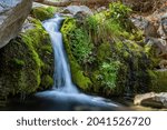 A rare waterfall oasis in the Huachuca mountains near Sierra Vista in southern Arizona.