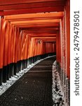 A Rare Winter snow at Torii Gate Tunnel at Fushimi Inari Shrine in Kyoto Japan. Orange and black beams with traditional Japanese Lanterns