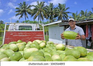 RAROTONGA -  DEC 23 2017:Mature Adult Pacific Islander Farmer Holding A  Large Fresh  Watermelon. The Cook Islands Is Expanding Its Agriculture, Mining And Fishing Sectors, With Varying Success.