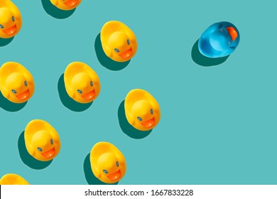 rasism, xenophobia, bullying concept: group of yellow rubber ducks and one blue duck looking in a different direction,