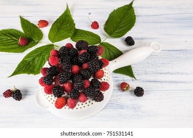 Raspberries Blackberries Blackberry