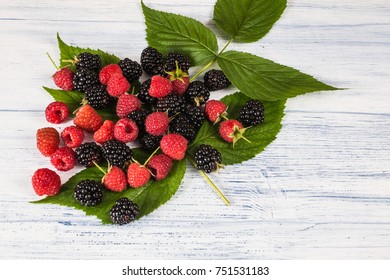 Raspberries Blackberries Blackberry