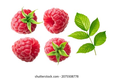 Raspberries and leave collection isolated on white background.
Raspberry closeup set.