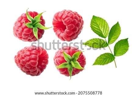 Raspberries and leave collection isolated on white background.
Raspberry closeup set.