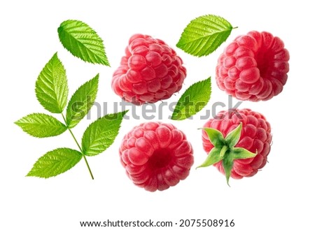 Raspberries and leaves collection isolated on white background.
Raspberry closeup set.