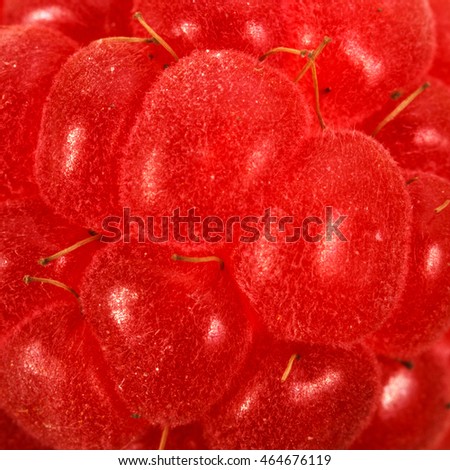 Similar – berry him Colour photo