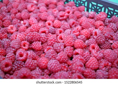 Raspberries pattern. Fresh organic raspberry background. Healthy eating, fruits. Full frame 