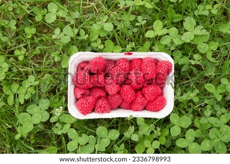 Similar – Collect forest strawberries