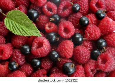 Raspberry And Blackcurrant