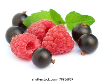 Raspberry With Blackcurrant