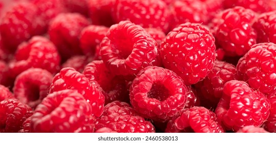 Raspberry fresh berries closeup, ripe fresh organic Raspberries red background, macro shot. Harvest concept.  - Powered by Shutterstock