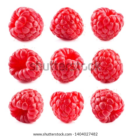 Raspberry isolate. Red berry isolated on white background. Isola