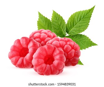 raspberry isolated on white background. bunch of ripe berries with green leaves.