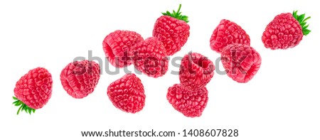 Raspberry isolated on white background with clipping path, falling raspberries, collection