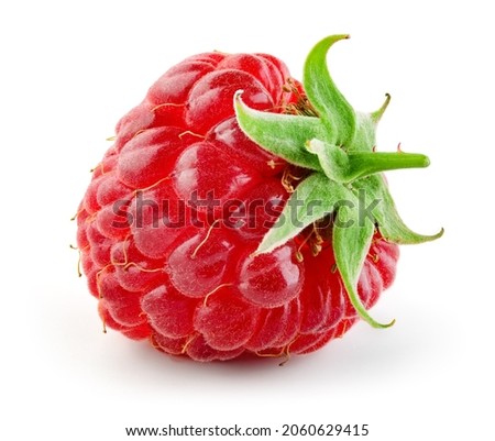Raspberry isolated. One red raspberry with green leaf isolated on white. Full depth of field. Perfect not AI raspberry, true photo.