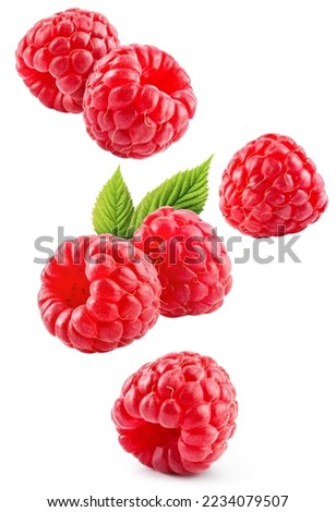 Raspberry isolated. Red raspberries with green leaf isolate on white background. Raspberry with leaves flying collection. Full depth of field.